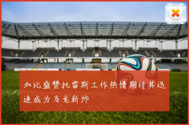 加比盛赞托雷斯工作热情期待其迅速成为马竞新帅