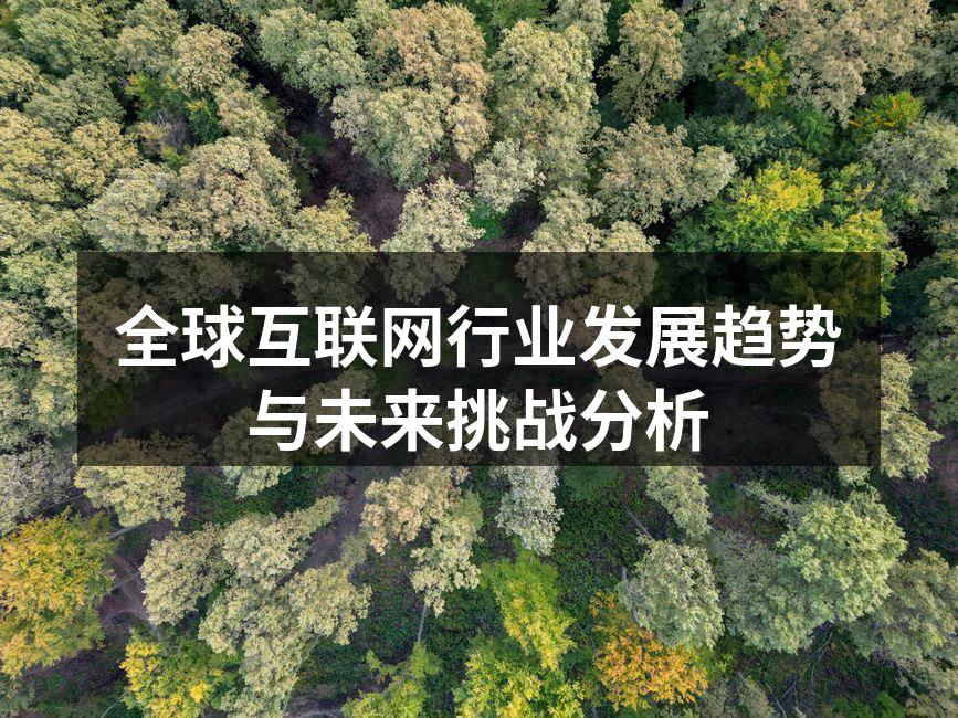 全球互联网行业发展趋势与未来挑战分析