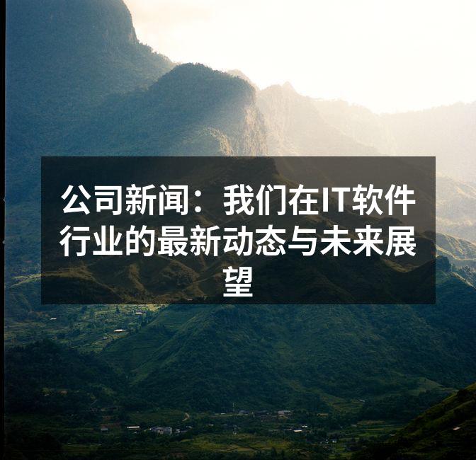 公司新闻：我们在IT软件行业的最新动态与