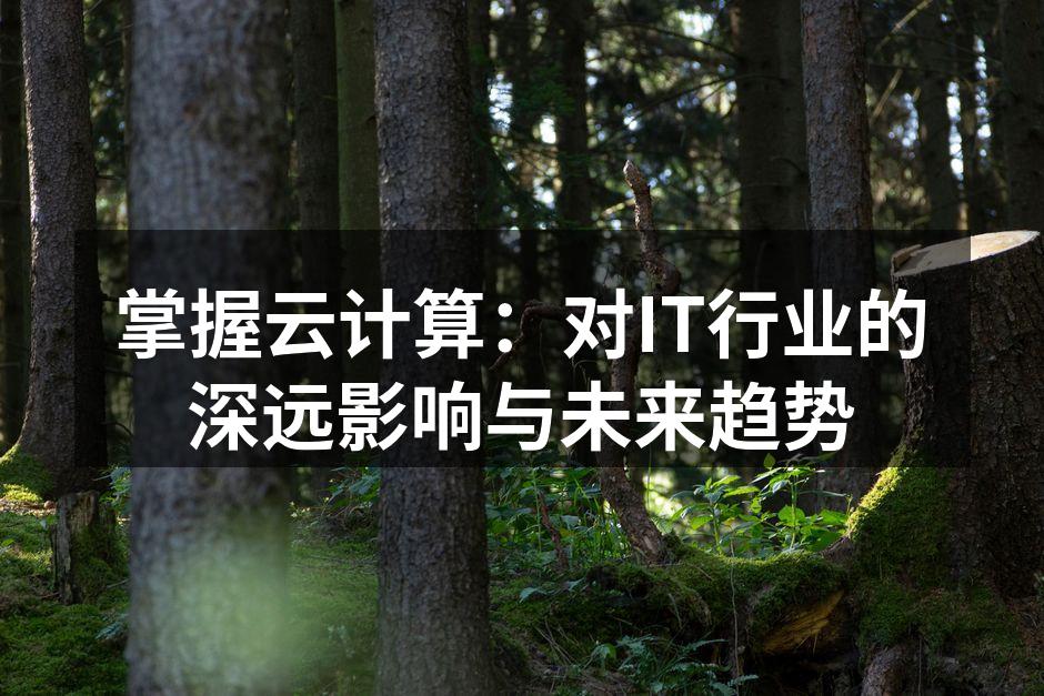 掌握云计算：对IT行业的深远影响与未来趋