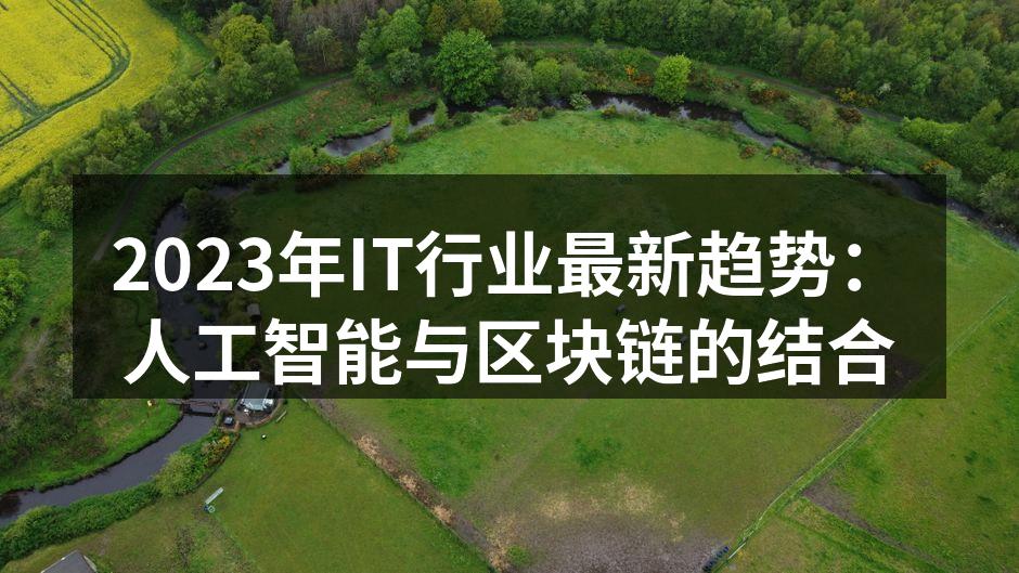 2023年IT行业最新趋势:人工智能与区