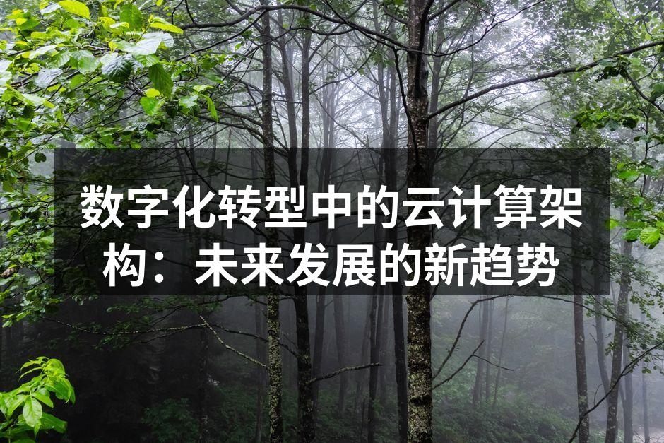 数字化转型中的云计算架构：未来发展的新趋